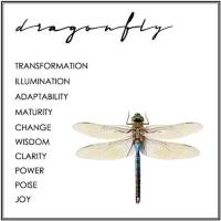 dragonfly